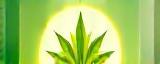 Logo of client GreenEnergy